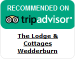 Recommended on TripAdvisor