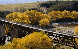 Otago Rail Trail