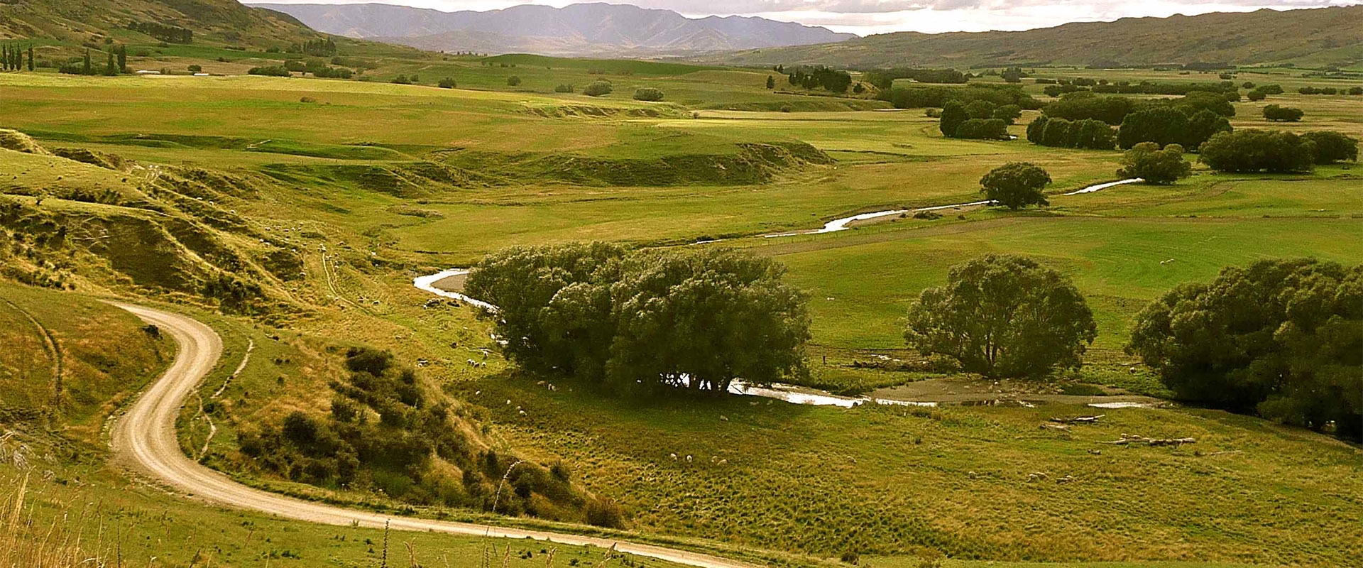 ride the otago central rail trail